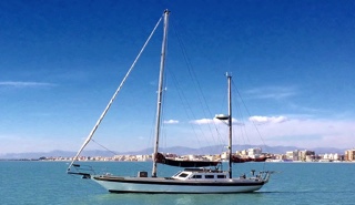 Endurance 37